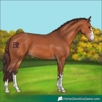 Horse Color:Chocolate Bay 