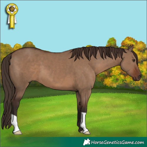 Horse Color:Liver Red Dun 