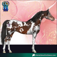 Horse Color:White Spotted Liver Chestnut Tobiano