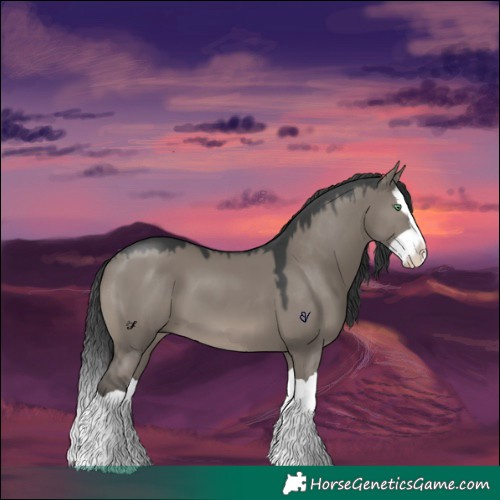 Horse Color:Grullo Mushroom Splash 