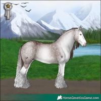 Horse Color:Gray Chocolate Grullo Splash 