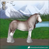 Horse Color:Gray Chocolate Grullo Splash 