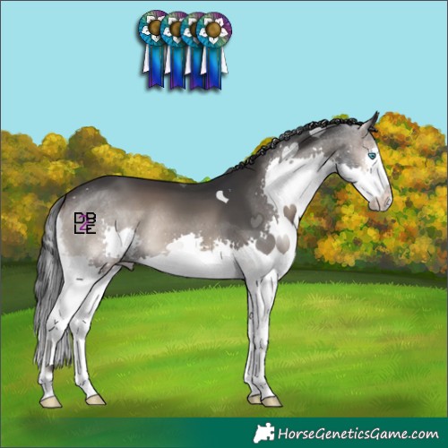 Horse Color:Blue Onyx Splash 