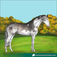 Horse Color:Blue Onyx Splash 