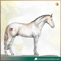 Horse Color:Amber Champagne Pearl Sabino Tobiano Appaloosa 