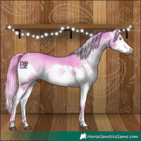 Horse Color:Gray Watercolor Bay Dun Splash Tobiano 
