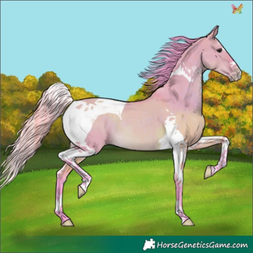 Horse Color:Watercolor Brown Dun Splash Tobiano 