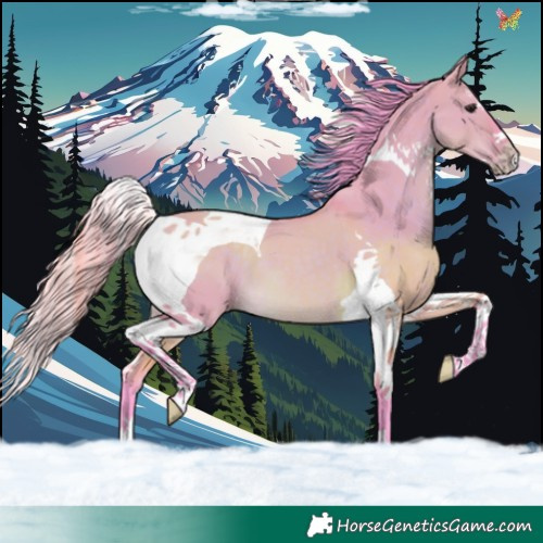 Horse Color:Watercolor Brown Dun Splash Tobiano 