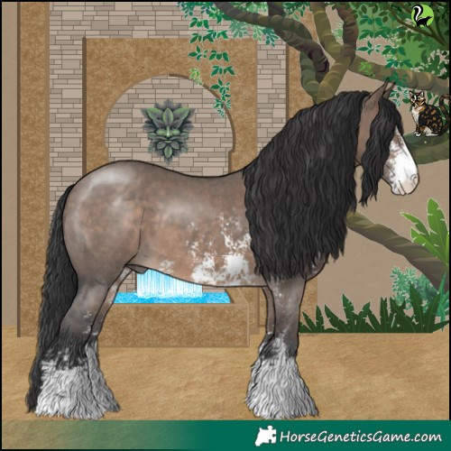 Horse Color:Brown Dun Sabino 