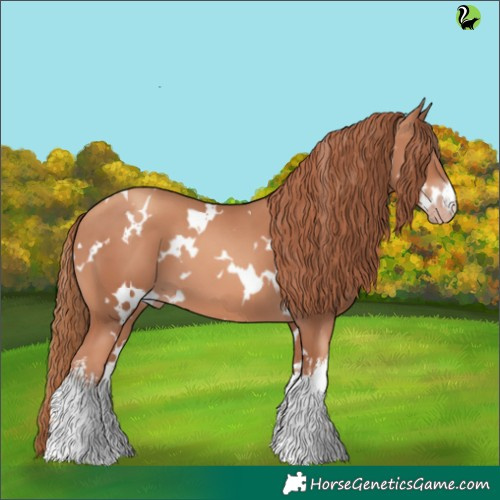 Horse Color:White Spotted Gold Champagne