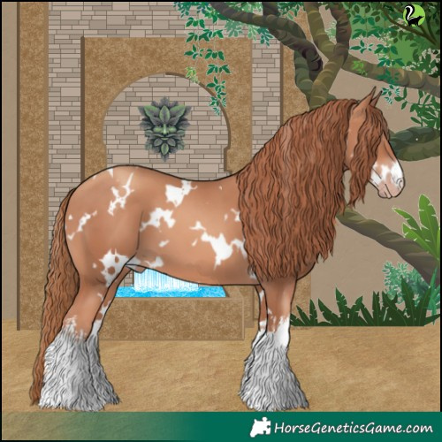 Horse Color:White Spotted Gold Champagne 