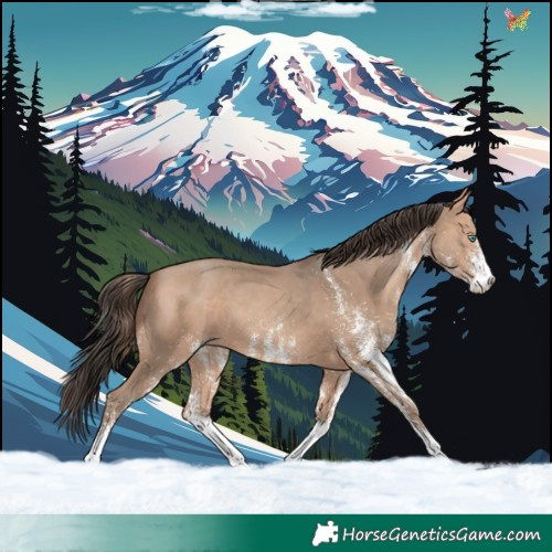 Horse Color:White Spotted Amber Champagne 