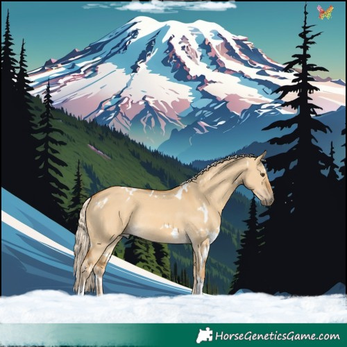 Horse Color:White Spotted Palomino Dun Tobiano Rabicano 