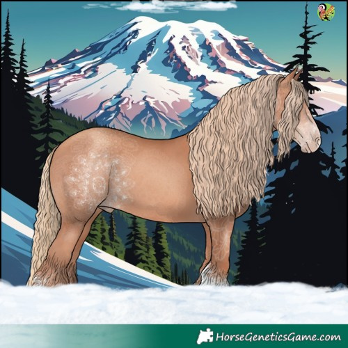 Horse Color:Gold Champagne Sabino 