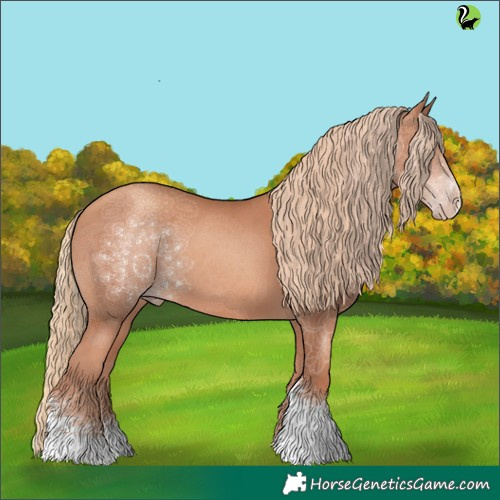 Horse Color:Gold Champagne Sabino 