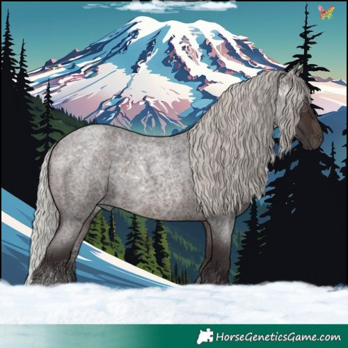 Horse Color:Silver Brown Roan 