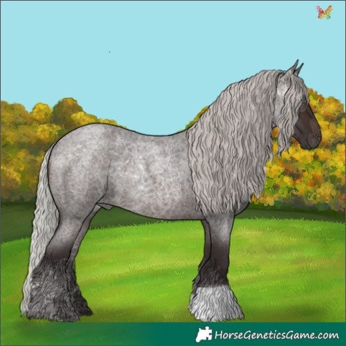 Horse Color:Silver Brown Roan 