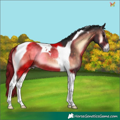 Horse Color:Brown Onyx Tobiano 
