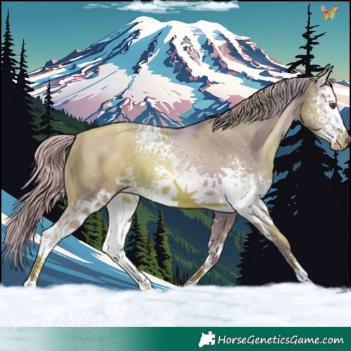 Horse Color:Watercolor White Spotted Liver Chestnut Pearl 
