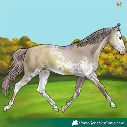Horse Color:Watercolor White Spotted Liver Chestnut Pearl 