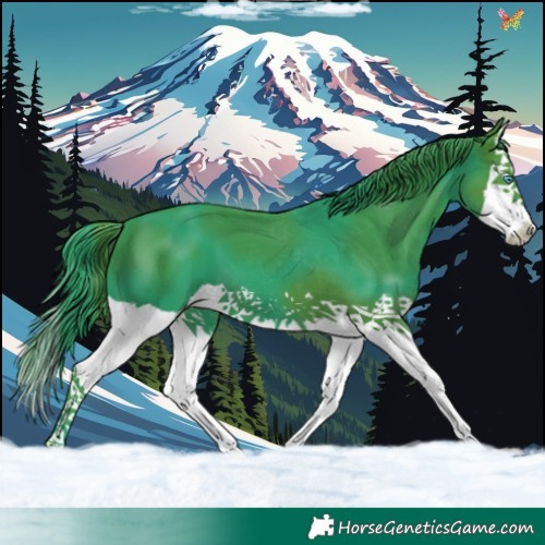 Horse Color:Watercolor Black Splash 