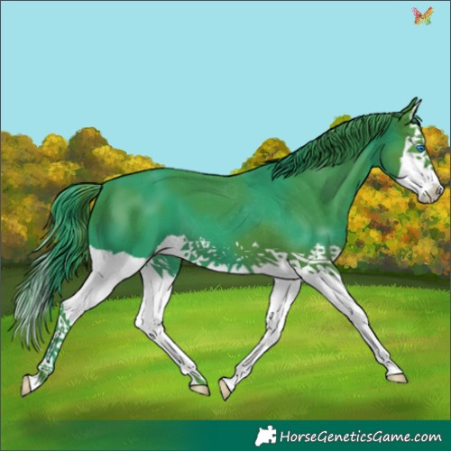 Horse Color:Watercolor Black Splash 