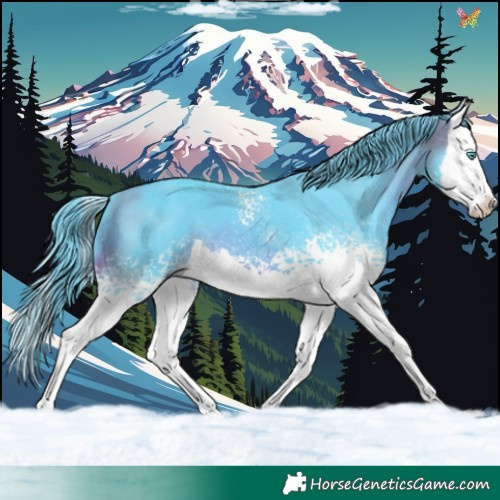 Horse Color:Watercolor White Spotted Brown Splash 