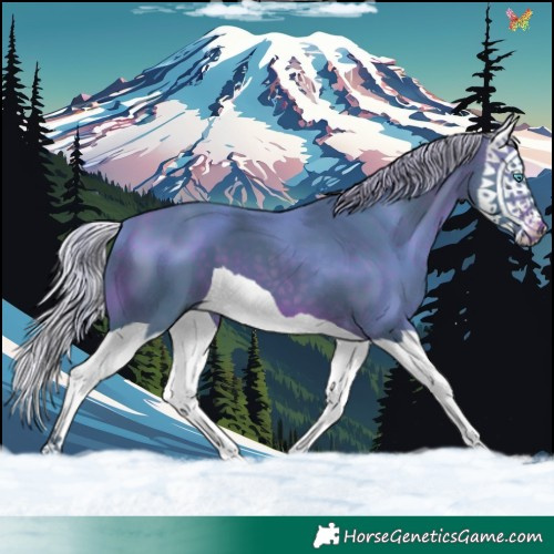 Horse Color:Watercolor Silver Brown Splash 