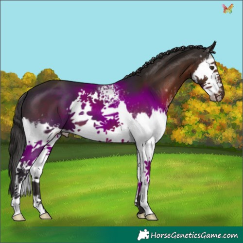 Horse Color:White Spotted Liver Chestnut Splash 