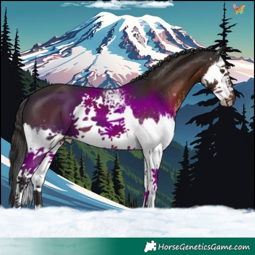 Horse Color:White Spotted Liver Chestnut Splash 