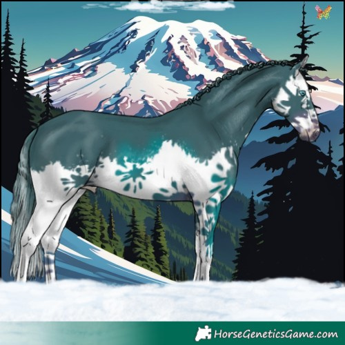 Horse Color:Watercolor White Spotted Liver Chestnut Splash 