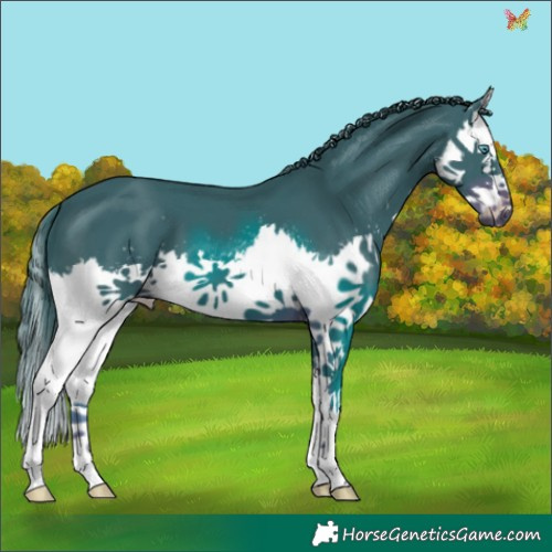 Horse Color:Watercolor White Spotted Liver Chestnut Splash