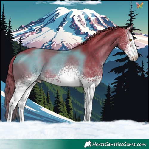 Horse Color:Watercolor White Spotted Liver Chestnut 