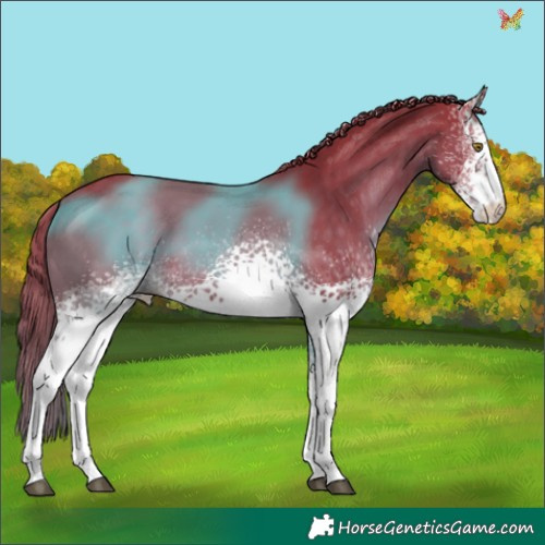 Horse Color:Watercolor White Spotted Liver Chestnut 