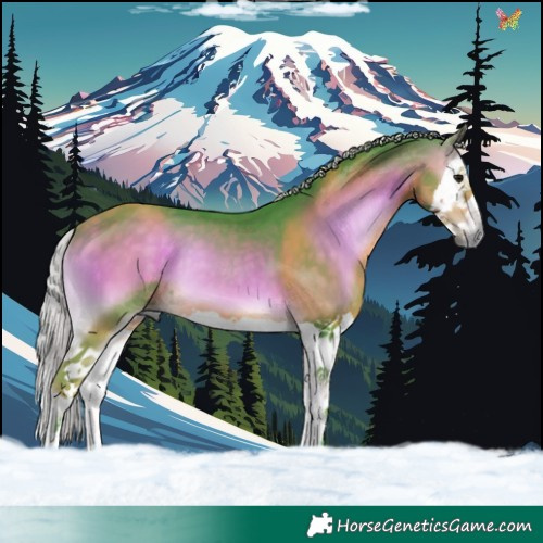 Horse Color:Watercolor Silver Buckskin Onyx Splash 
