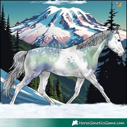 Horse Color:Watercolor Silver Smoky Blue Onyx Splash Tobiano 