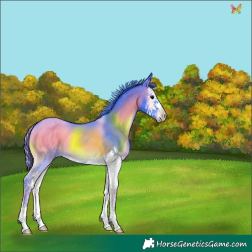 Horse Color:Watercolor Blue Onyx Splash