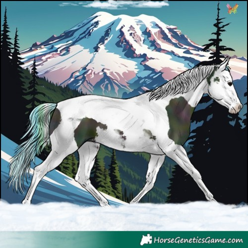Horse Color:Watercolor Midnight Brown Onyx Splash Tobiano 