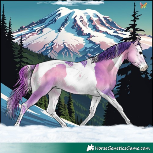 Horse Color:Watercolor Buckskin Onyx Splash Tobiano 