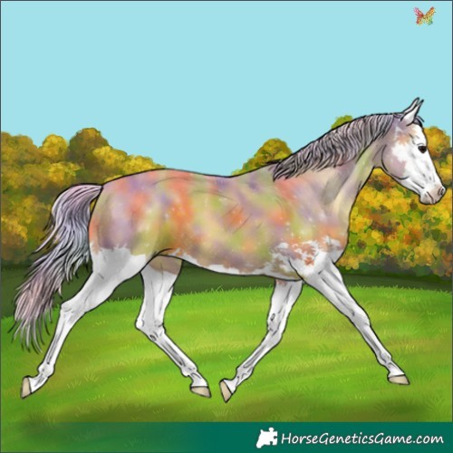 Horse Color:Nacre Watercolor Silver Black Splash 
