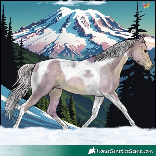Horse Color:Watercolor Silver Smoky Black Tobiano Rabicano 