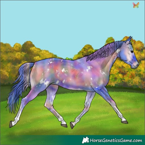 Horse Color:Nacre Watercolor White Spotted Blue Onyx Tobiano Rabicano 