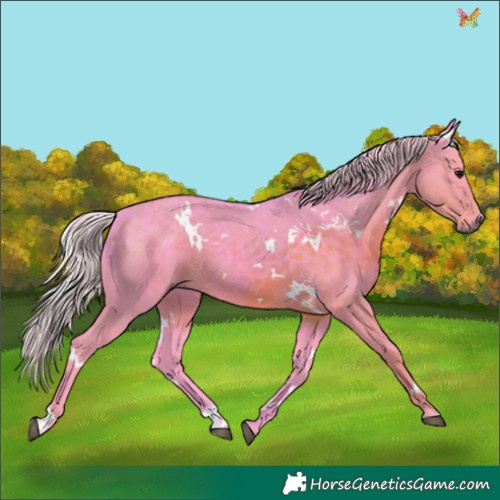 Horse Color:Watercolor White Spotted Silver Smoky Black 