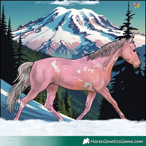 Horse Color:Watercolor White Spotted Silver Smoky Black 