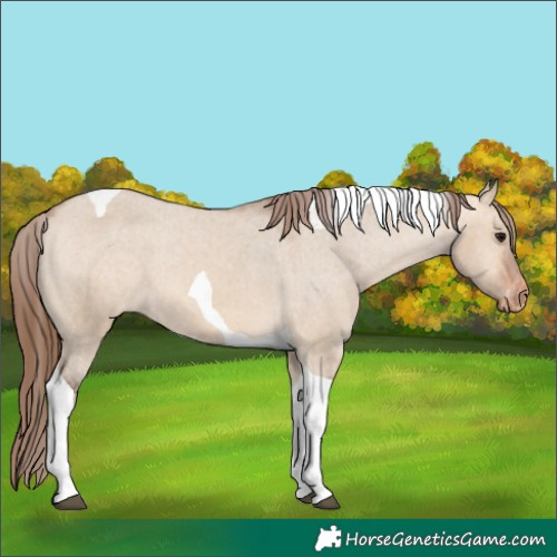 Horse Color:Bay Dun Tobiano Varnish 