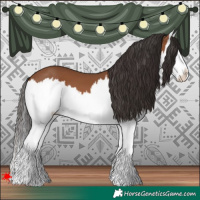 Horse Color:Bay Splash 