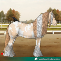 Horse Color:White Spotted Buckskin Pearl 
