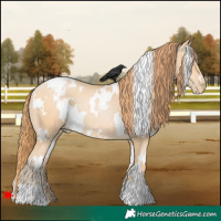 Horse Color:White Spotted Buckskin Pearl 
