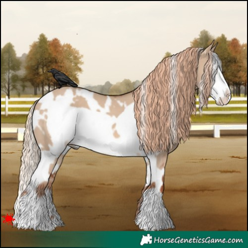 Horse Color:White Spotted Red Dun Frame 