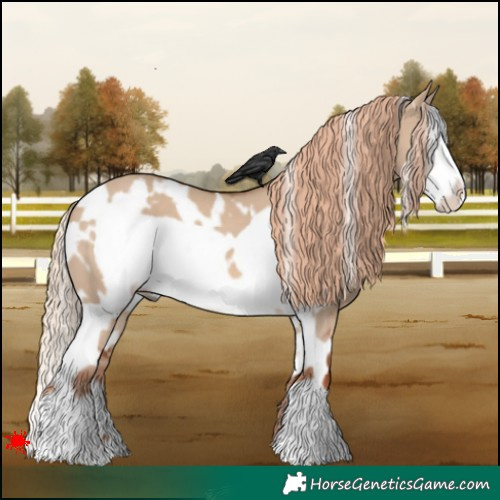 Horse Color:White Spotted Red Dun Frame 